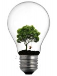  Environment and Renewable Energies in Lebanon