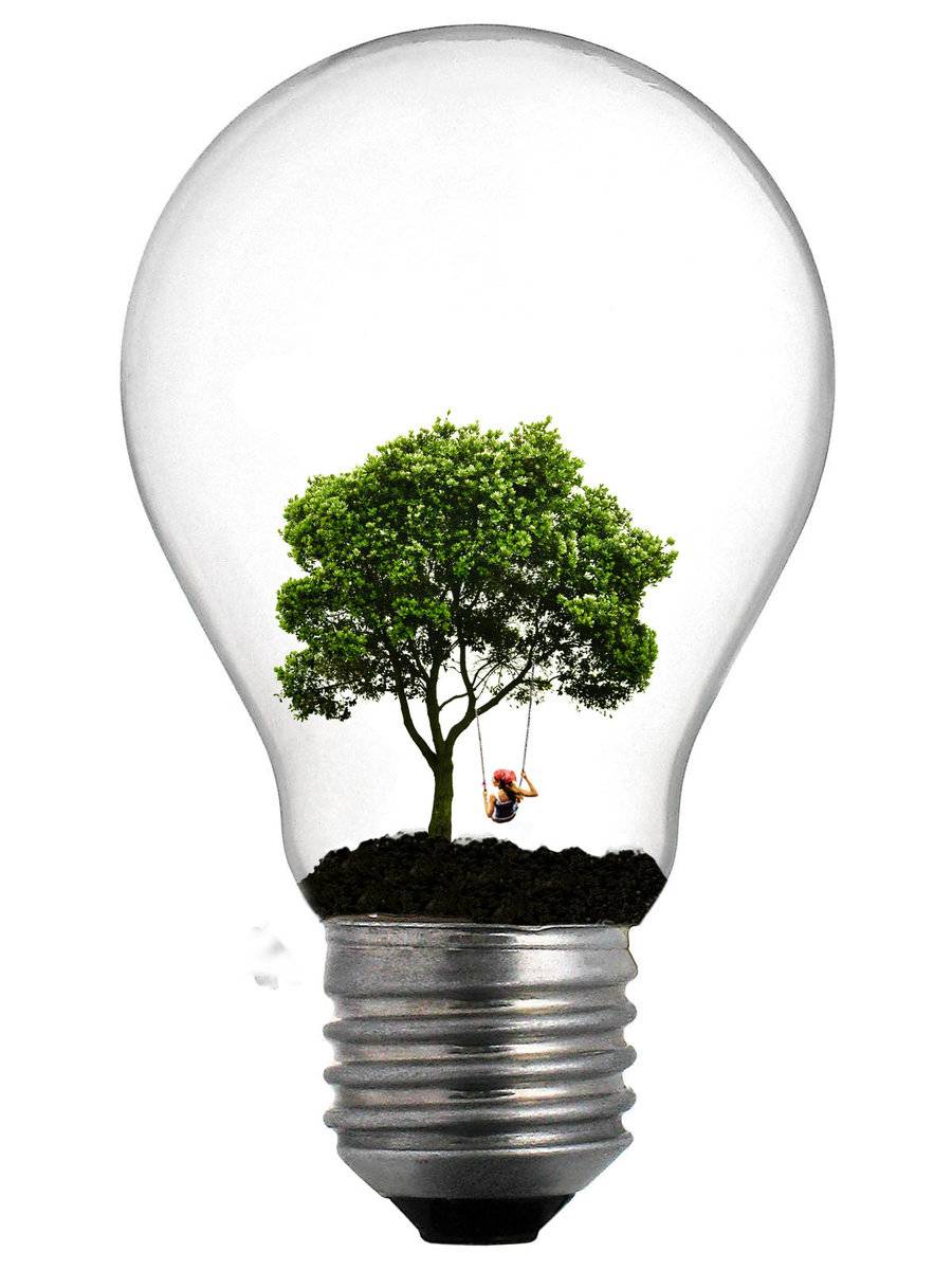  Environment and Renewable Energies in Lebanon