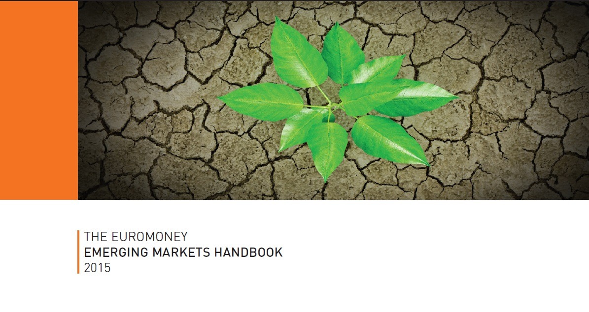  The MENA region: Challenges, opportunities and reforms