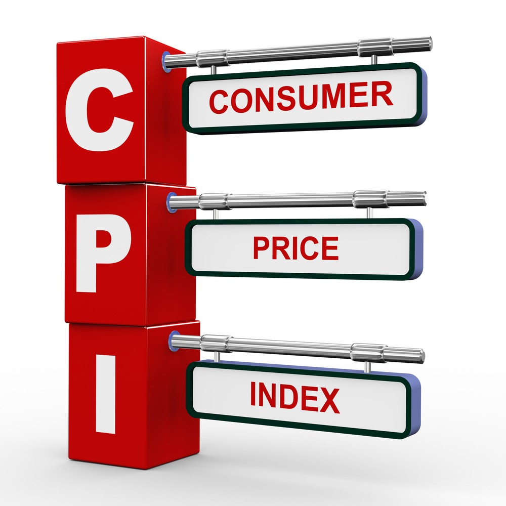  CPI Increased by 0.89% y-o-y to 100.52 Points in November