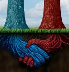  Mergers and Acquisitions between Lebanese Banks
