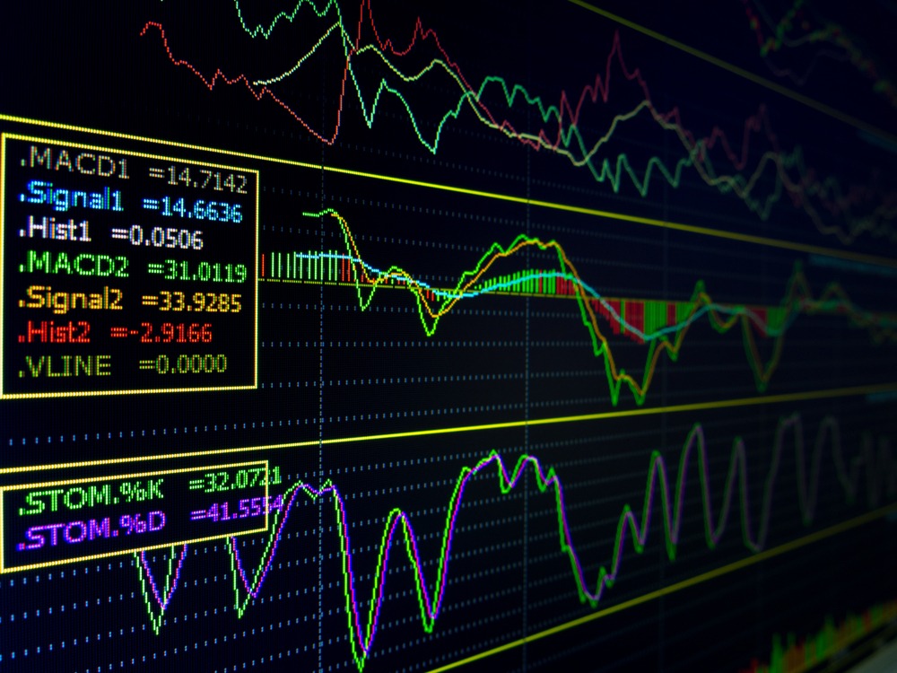  No Traded Stock on the BSE Experienced a Drop in Price on Monday