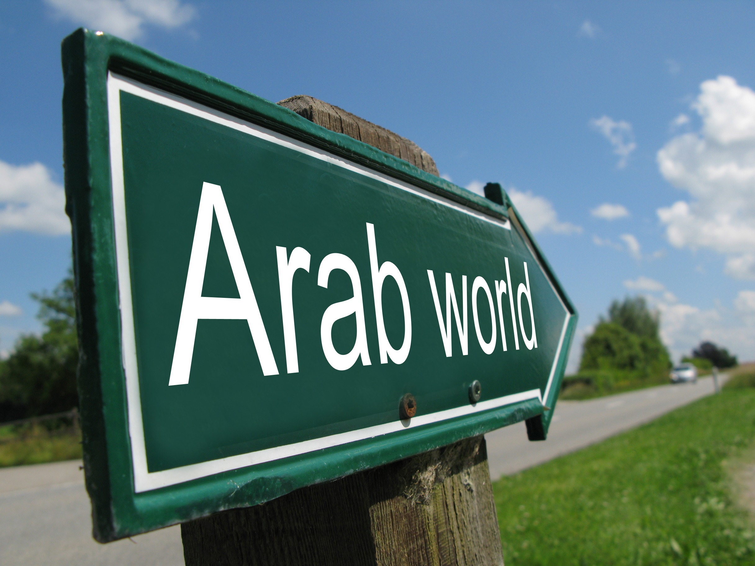  MENA Review and Quarterly Outlook: Q4 2014