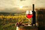  Lebanese Wineries Filling Glasses and Welcoming Tourists