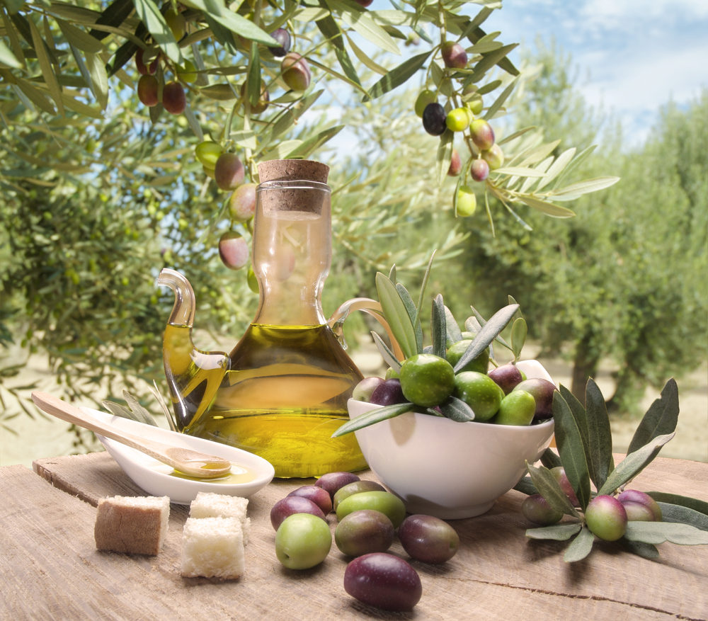  Olive Oil: The Bittersweet Taste of Lebanon