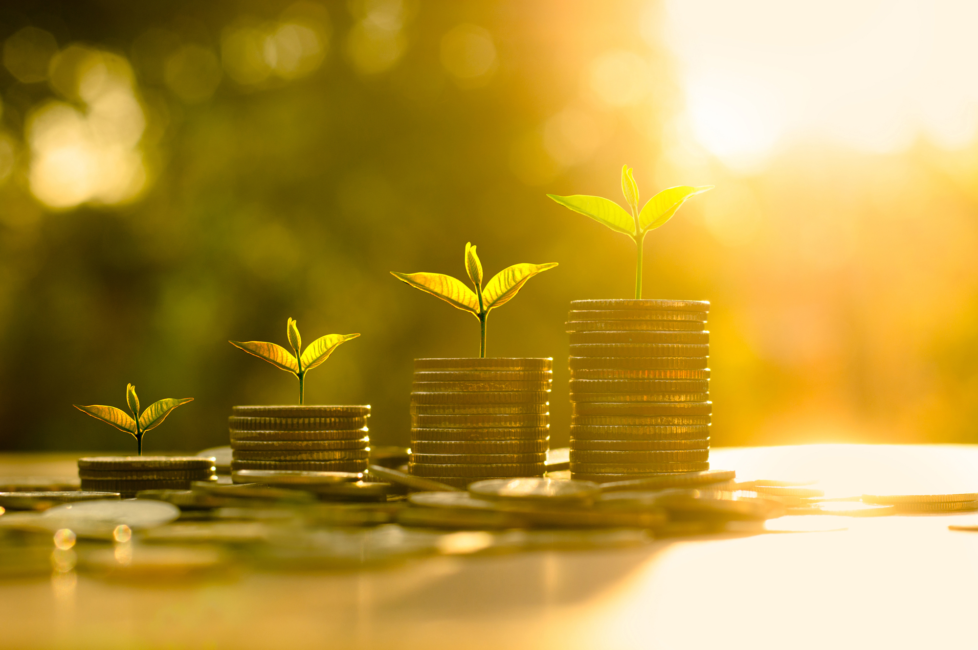  Hidden Opportunities in the Lebanese Economic Sectors