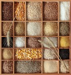  The Lebanese Grain Importers: Opportunities Seized and Transformed into a Solid, Stable Market