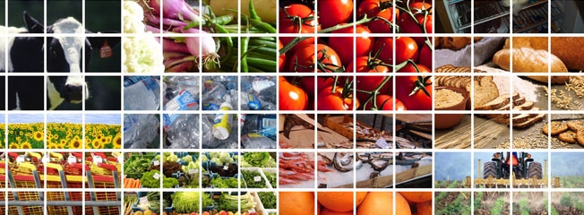  The Lebanese F&B Industry: Resilient Amid Economic Woes