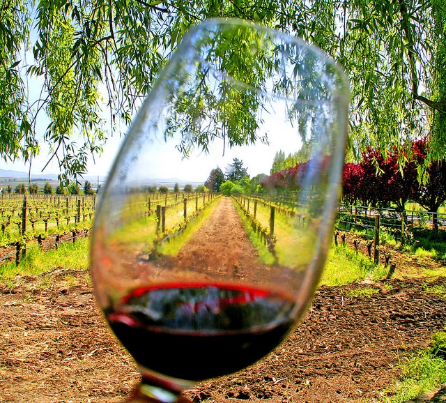  The Current State of “Wine”