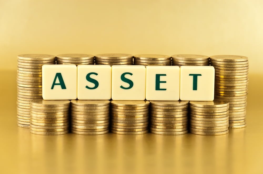  Who owns Public Assets? And What Are Their Implications for the Lebanese Financial Crisis? A Brief Investigation