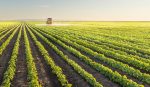  Lebanese Agricultural Sector at a Glance