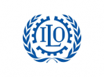 ILO: Lebanon’s Employment Ratio Falls to 30.6% and Youth Unemployment Rises to 47.8%