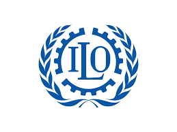  ILO: Lebanon’s Employment Ratio Falls to 30.6% and Youth Unemployment Rises to 47.8%