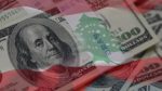  How Disposable are BDL’s Foreign Exchange Reserves?
