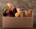  WFP: A Lifeline in Lebanon’s Deepening Crisis